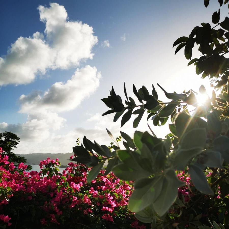 Vue Sur Mer A La Villa Parme Le Robert Exteriör bild